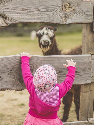 Gutschein für ein Kind (Hofführung)