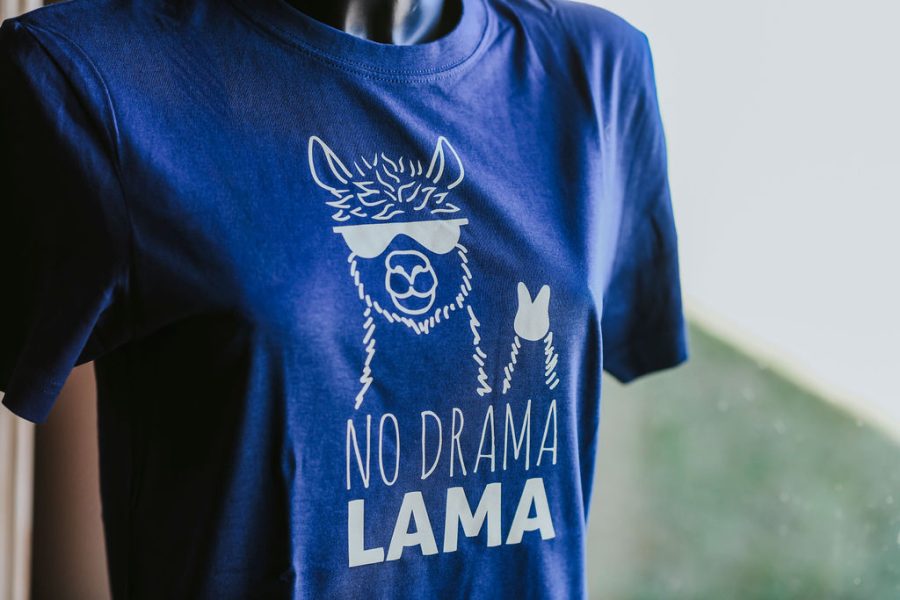 nodramashirtr(c)dieSonne-002 T-Shirt mit Lama Drama