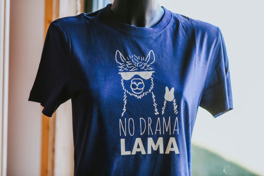 nodramashirtr(c)dieSonne-003 T-Shirt mit Lama Drama