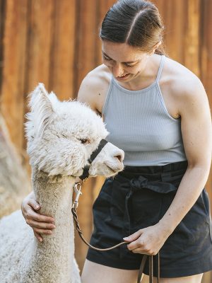 Alpaka- und Lama Patenschaften