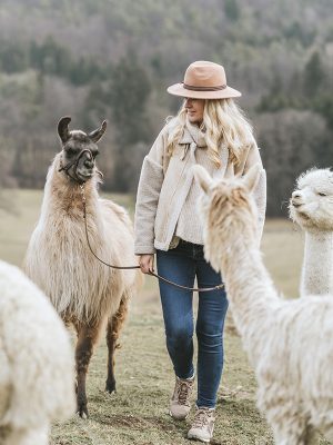 Fotoshooting mit Alpakas